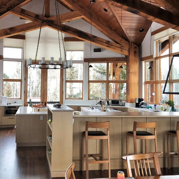 Contemporary Mountain Kitchen | Telluride, CO