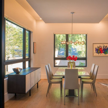 Modern Solar Home - Arlington, VA