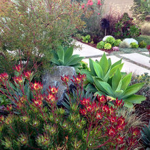 McClure Backyard