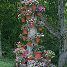 ideas
