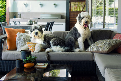 Inspiration for a contemporary home design in Sydney.