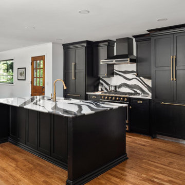 Modern Whole House Remodel