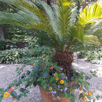 Container Design - Spring and Summer