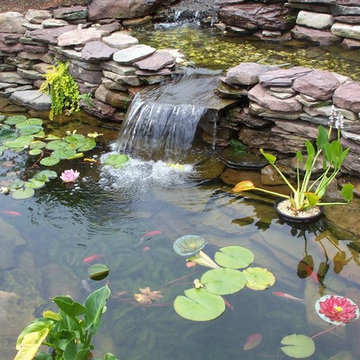 Water Features