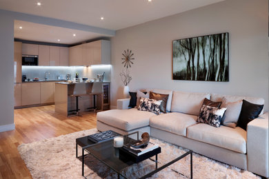 Photo of a contemporary living room in London.