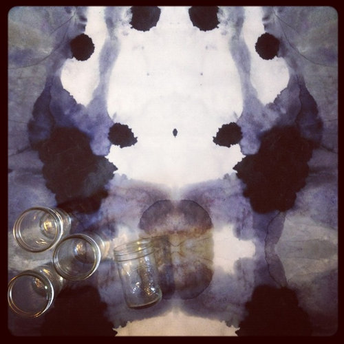 The Indigo Collection