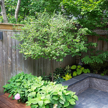 North York Custom Ipe Deck with Fire Table