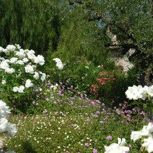 Provence Garden