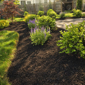Mulch Beds Shrubs Perennials Niskayuna