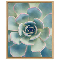 Sylvie Succulent 7 Framed Canvas by F2 Images, Natural 18x24