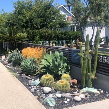 Cactus & succulents make a great drought tolerant team.