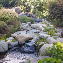 water feature