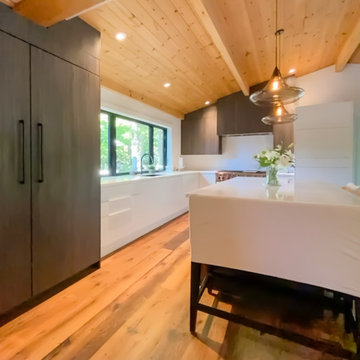 Blue Mountains Modern Chalet: Collingwood, ON