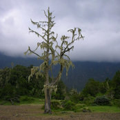 Aadi's photo