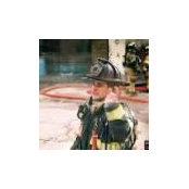 David Schmidt's photo