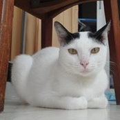 Pimpirada Sripan's photo