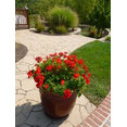 PERENNIAL GARDENS BY LINDA GRIEVE's profile photo
