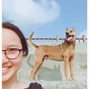Foto von Yushan Tai