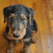 Betsy BoyerSmith's photo
