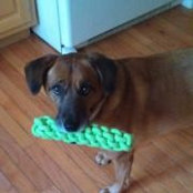 Jenn Carey-Schofield's photo