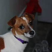 Norma Frocklage's photo