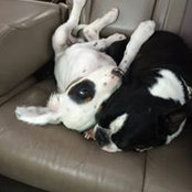 Erin Mandeville's photo