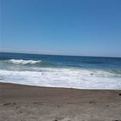 Judy Mitchell's photo
