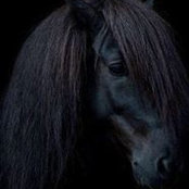 Kai Kaiser's photo