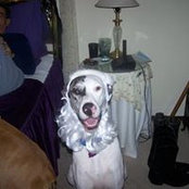 Wendy Strittmatter's photo