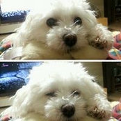 Hesoo Heo's photo