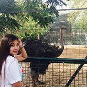 Daisy Sayco's photo
