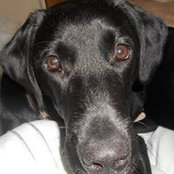 Felicity McInnes's photo