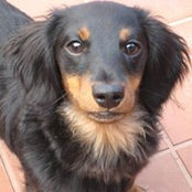 Billie Smith's photo