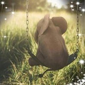 Amy Javed's photo