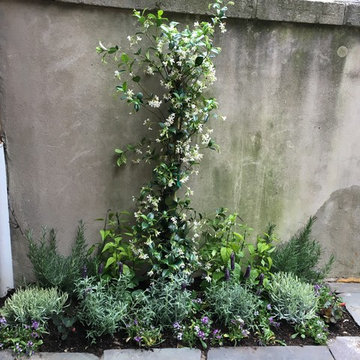 Philadelphia Patio