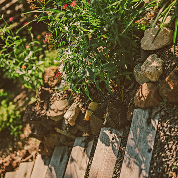 Woodland Staircase