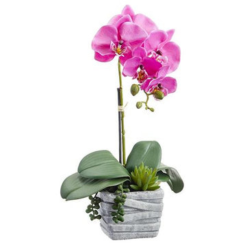 Silk Plants Direct Phalaenopsis Orchid Plant, Orchid, Pack of 2