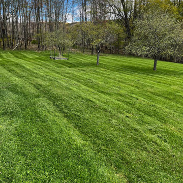 Professional Lawn Care & Mulch Installation