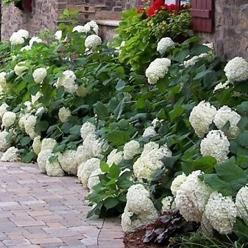 Front entries, sidewalks, paths and steps