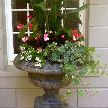 Spring Container Planting