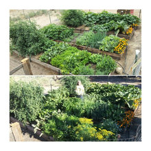 K&A Garden Ideas