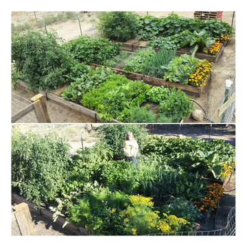 Huge Reno Garden