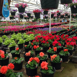 Nursery - Gardening And Lawn Care