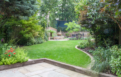 Garden Tour: Two Gardens Become One Seamless, Leafy Space
