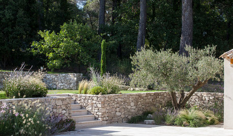 11 astuces pour aménager un terrain en pente