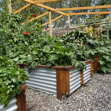 Gardening