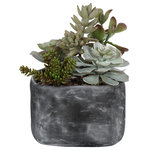 Uttermost - Alverio Succulents - A contemporary desert garden mix of succulents accented with an arid bed of natural pebbles in a mottled charcoal gray concrete planter.