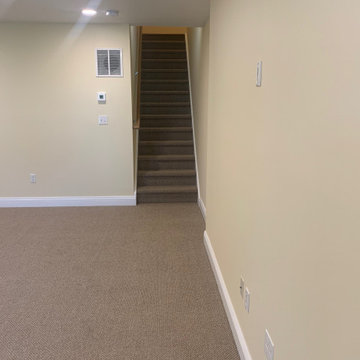 Basement Project