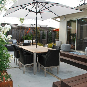 Contemporary backyard oasis