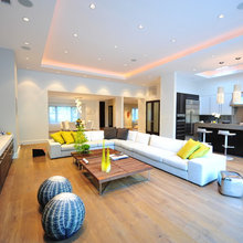 Remodel - Ceilings
